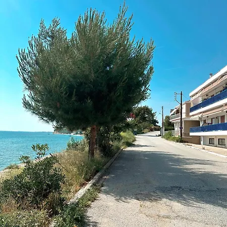 Diara